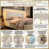 Audreamy Orionis Ottoman Bed Beige Velvet