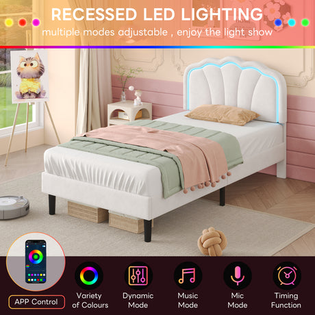 8379574a-0dfa-4df9-9565-4a40fdac0ab9