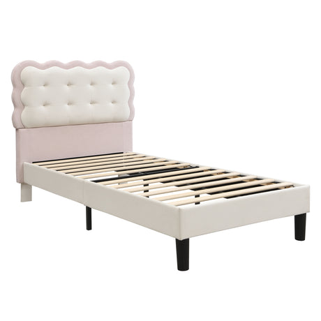 f22230d1-fdc2-4d09-aeab-5afcab4e1271