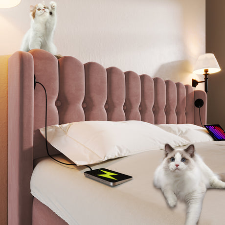 90542218-5111-4b52-a1bd-7cee9bab6667