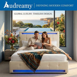 Audreamy Arlo Ottoman Bed Beige Velvet Double