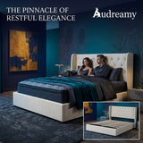 Audreamy Veronana Ottoman Storage Bed Beige Velvet Double
