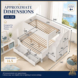 Audreamy Polara Bunk Bed with Storage for Kids White Wooden