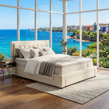 Audreamy Everley Ottoman Bed Beige Velvet