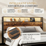 Audreamy Hudson Bed Frame with Storage Drawers Black Wood